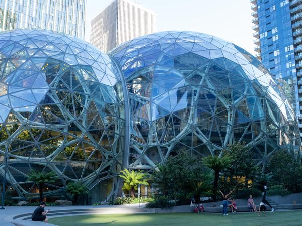 Amazon Building Picture