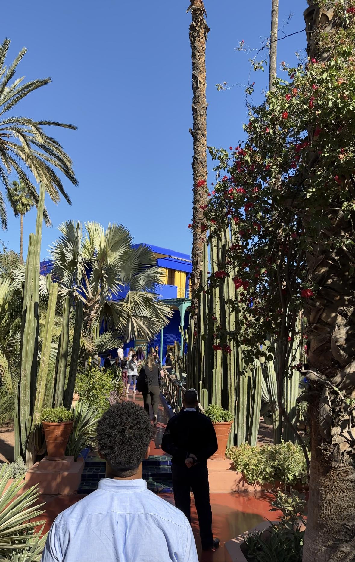 Marrakesh Garden