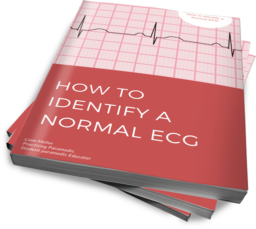 The Art of Persuasion book