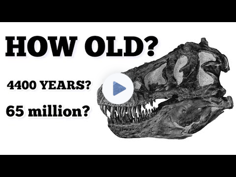 Evolution WON'T TEACH This - Fossils Form FAST and are 4,400 YEARS OLD