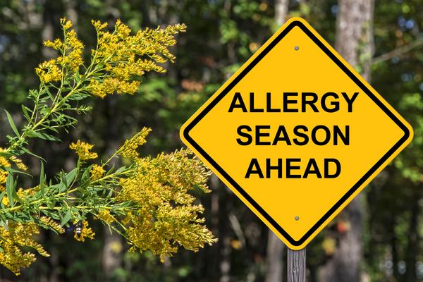 Allergy Season