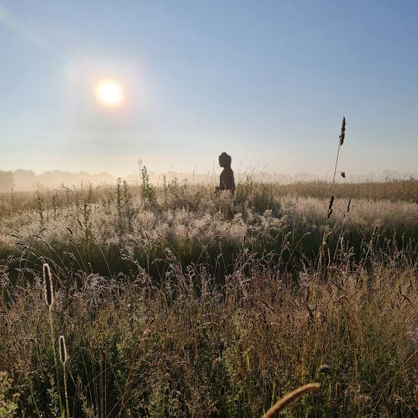 Upload an image for week 1