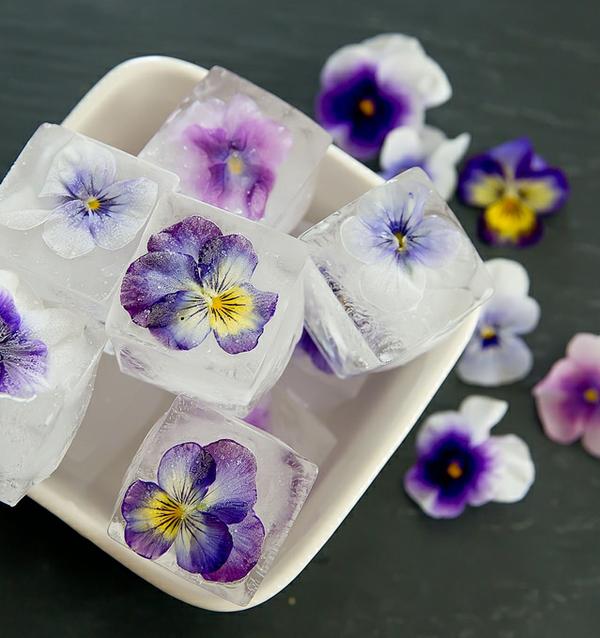 A close up photo of a purple violet flower, with more in the background, along with the stems and leaves.