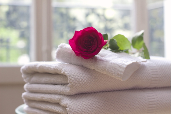 A red rose on a stack of white towels, with bright windows in the background.