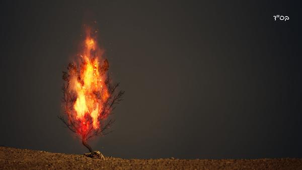 Face-to-Face with Hashem