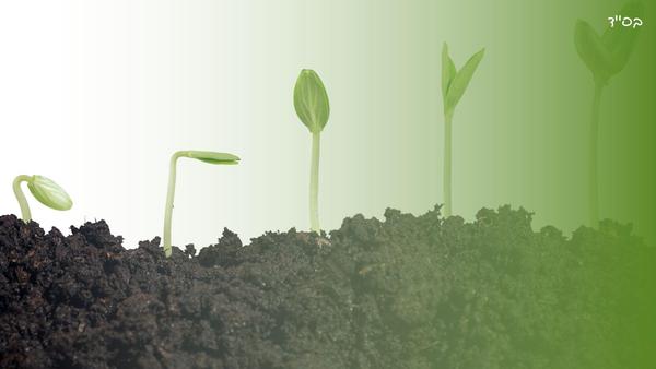 Achieving Spiritual growth