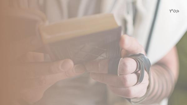 Shovavim: Introductions to Tikunim