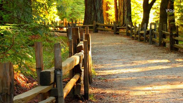 Finding the Winning Path