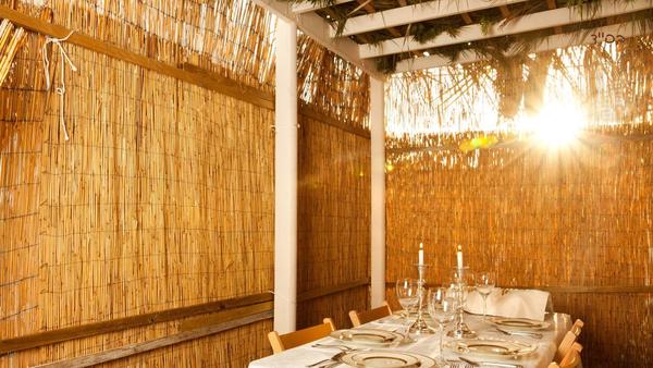 Sukkot Media Library Image