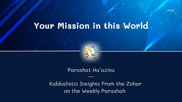 Your Mission in this World