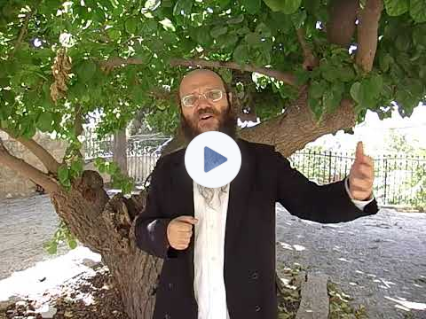 Sukkot, Hashem's right hand