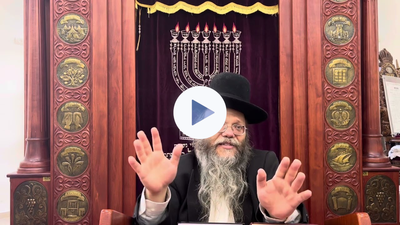 Were is the safest place to be? what is your reaction?