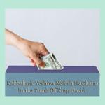 Pidyon Nefesh Spiritual Protection Package