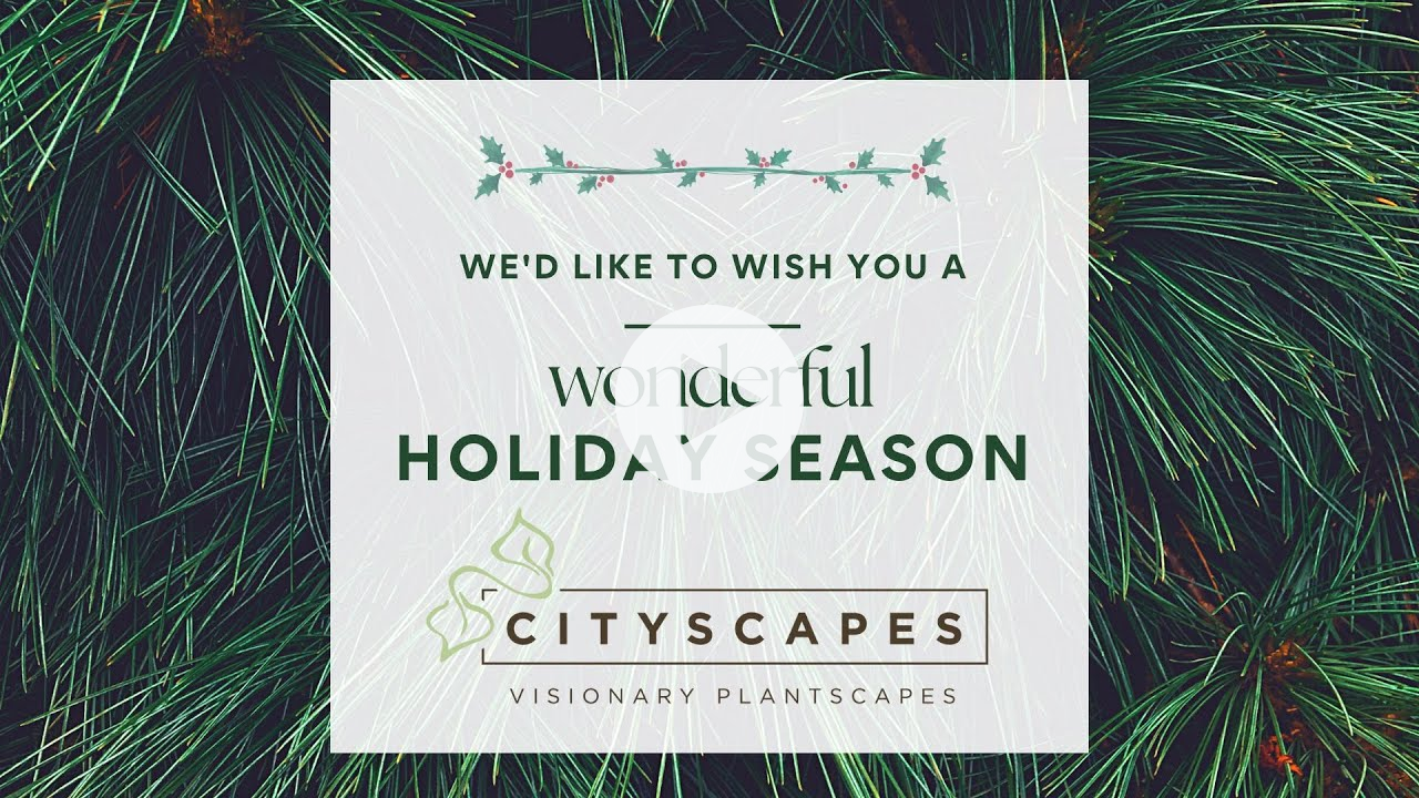 Holiday Greetings 2022 from Cityscapes