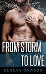 From Storm To Love Book Cover Image