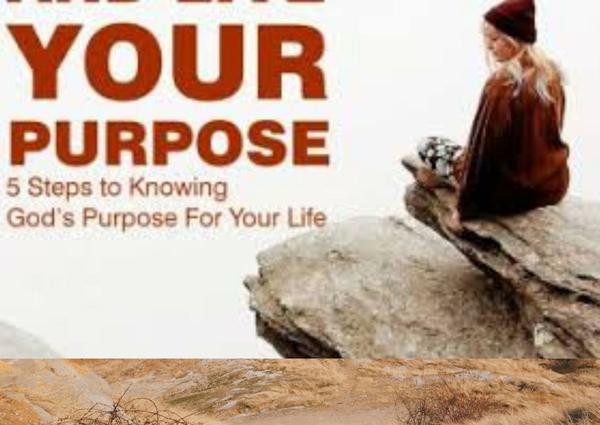 Untitled design (1).jpg