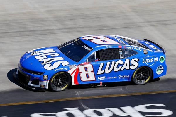 (Photo: Nigel Kinrade Photography)