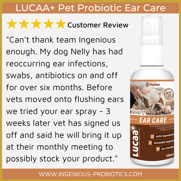 LUCAA+ Probiotic Pet Ear Care Review The WHY Behind Provilan Probiotics