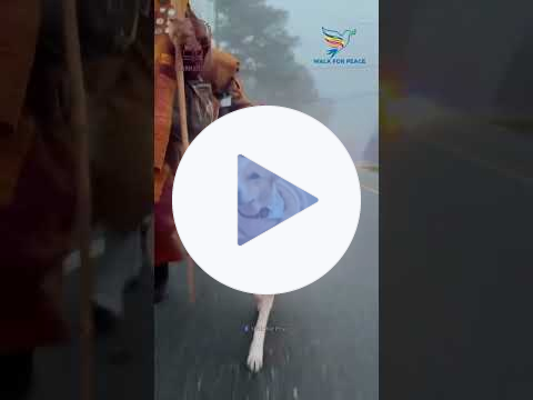 Monks Peace Walking #WalkforPeace #Buddhist #buddhism #Monk