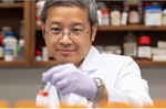 UC pharmacy professor Kevin Li holds a test tube in a laboratory.
