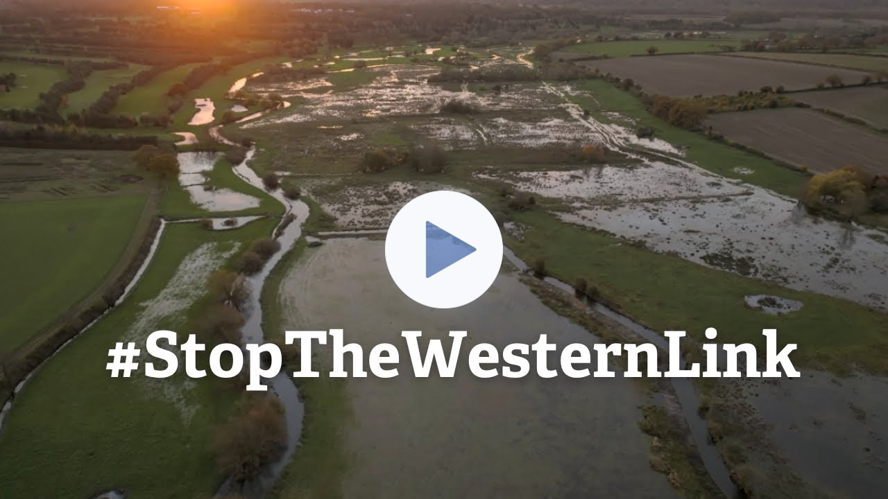 Norfolk Wildlife Trust - Stop The Western Link