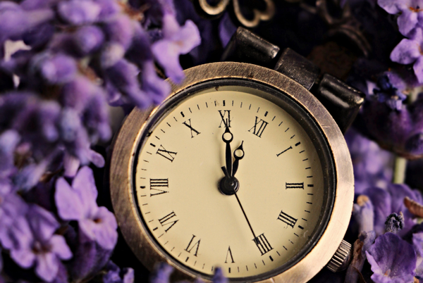 Image Freeimages @algiamil