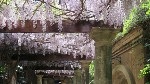  Photo Jesuit Institute