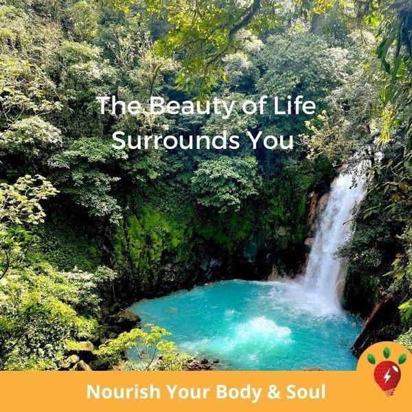 The Beauty of Life Surrounds You. Nourish Your Body & Soul