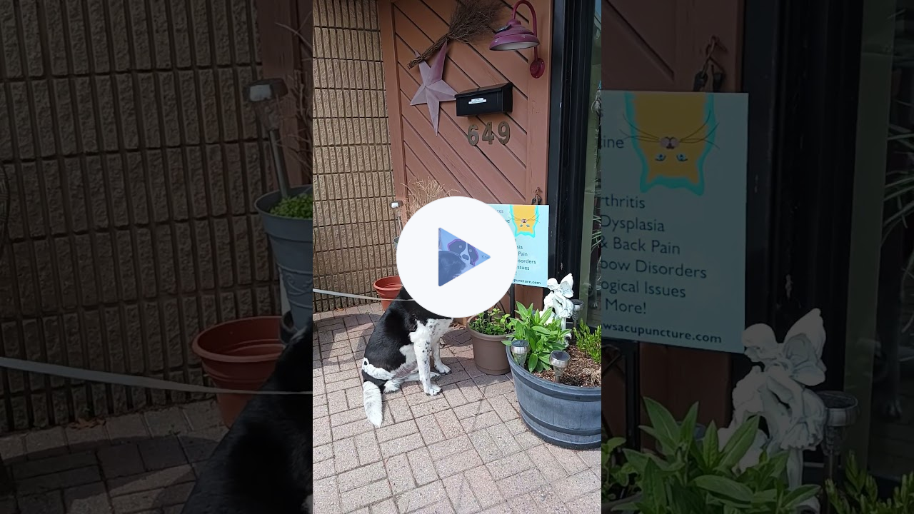 Marty McFly's Doppelgänger🐶 Lives on an Acupuncture Sign🐶