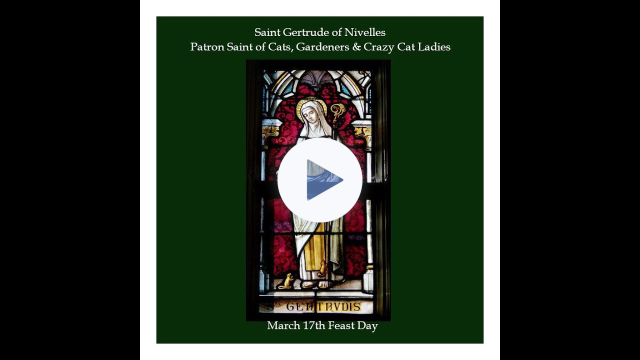 March17th🐈‍⬛St Gertrude Patron Saint of Cats🐈Cat Ladies😻 #cats #catlover #catlovers #stpatricksday