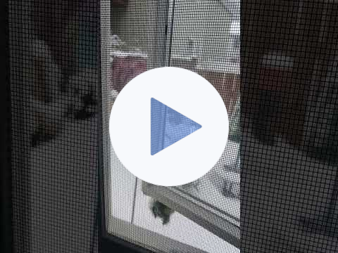 🪟🚨BURP YOUR HOUSE🚨🚒Carbon Monoxide Warning🪟#carbonmonoxide #carbonmonoxidepoisoning #winter #safety