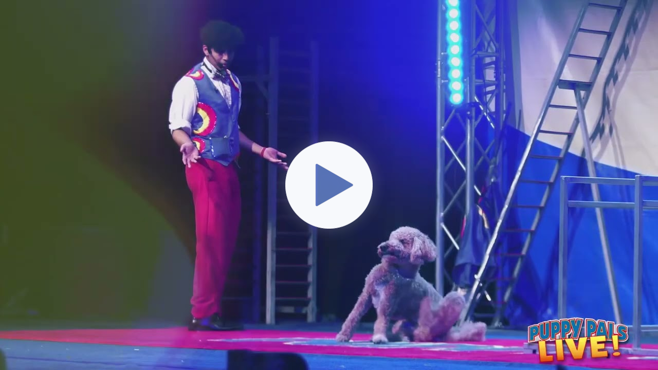 Puppy Pals LIVE!- Theater Show Sizzle