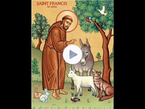 😇Saints - Not Saint Bernards 😇 🐾St Francis of Assisi 🐦Franciscan Dr Dolittle 🎩 🐎Feast Day Oct 4 🐺🐘🐏
