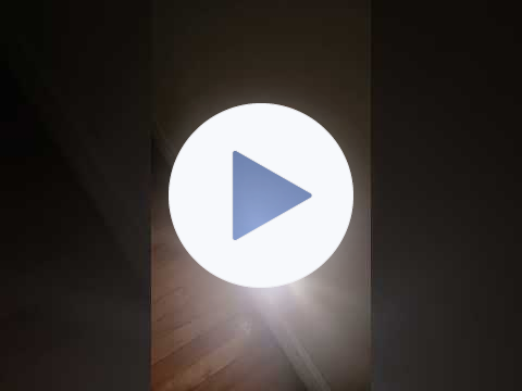 🐾Making Your Senior Pets🐾Feel Safe💡🐈‍⬛Eco-Friendly PAWsome Solution 🐕‍🦺Lights On🐈‍⬛🐾for People Too💡