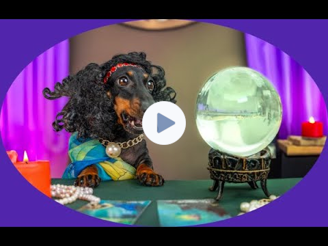 🔮THE BARKING PSYCHIC 🐾For Pets with Pain, Ailments & Anxiety🐾#petpsychic #pets #tarot #herbal #herbs