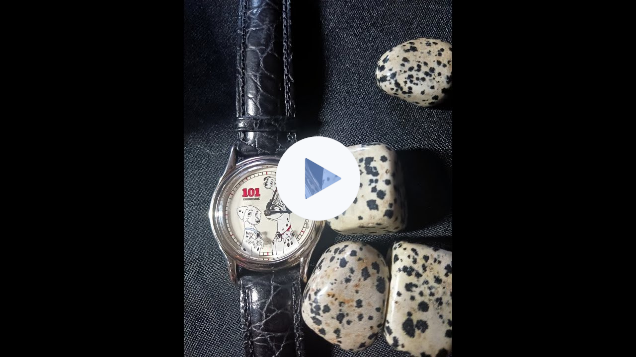🐾101 DALMATIONS🐾 ANNIVERSARY💖Dalmation Jasper🪨& DOG🚒🐾#101dalmatians #dogs #crystals #disneyclassics