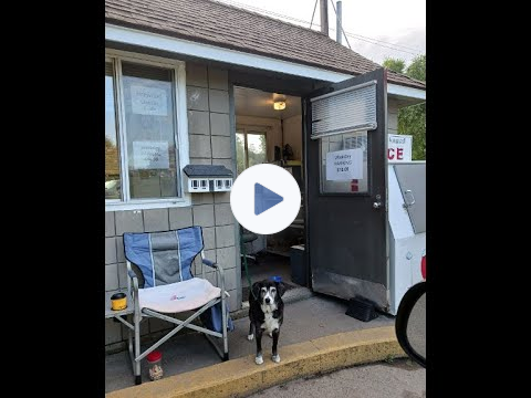 🐾Meet Shadow 🐶 Keeper of the Gate & Greeter 💜at Winter Island 🏝🐾 Dogs & Cats of Salem MA🧹