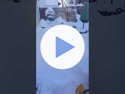 ❄️SNOWPOCALYPSE☃️Salem MA🐾PLZ KEEP YOUR 🐕‍🦺PETS INDOORS🐈‍⬛#pets #snowpocalypse #salemmassachusetts