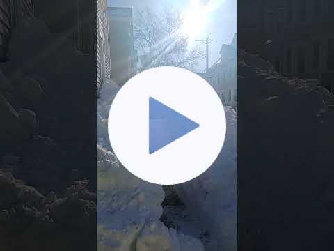 🐾PAWSITIVE SNOW TUNNEL🐾 4 DOGS ❄️Salem MA#salemmassachusetts #snowpocalypse #pets #dog #cat #winter