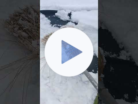 🧙🏼SNOW REMOVAL OFF YA PAHKED CAR❄️SALEM MA🧹❄️#bostonaccent #snow #snowpocalypse #salemmassachusetts