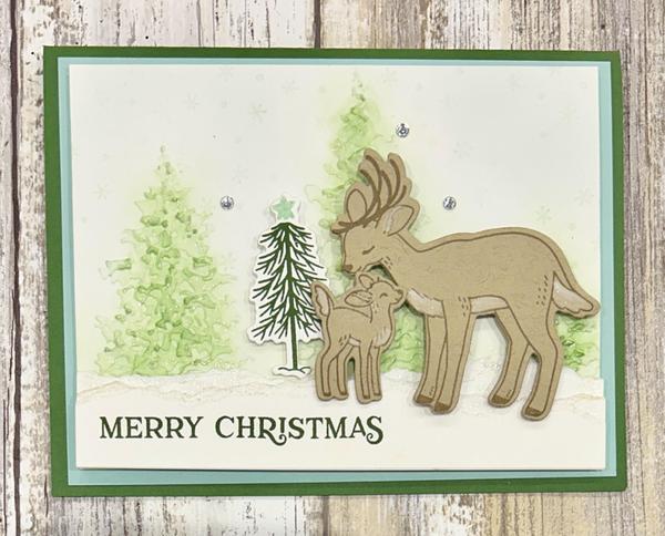 Frames & Flowers Just For You card.