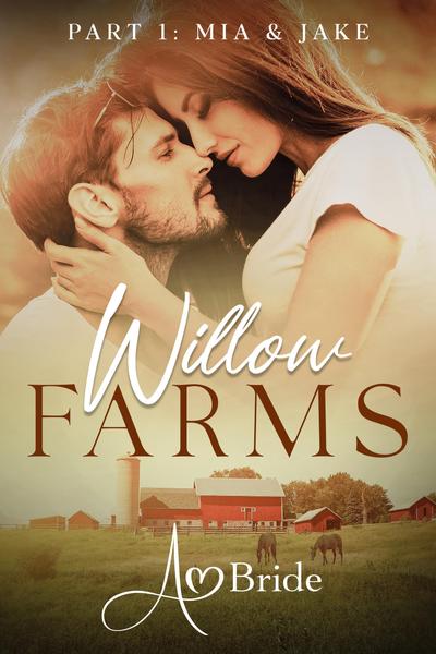 Spicy erotic romance book