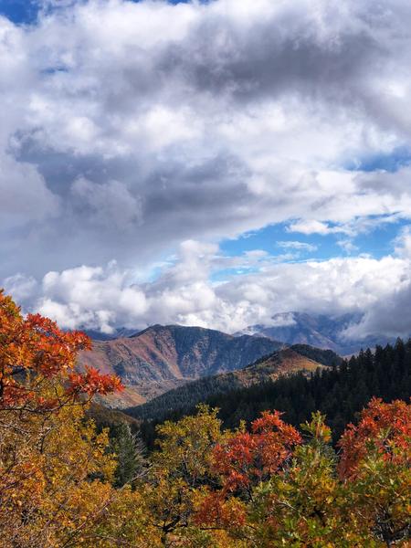 Fall view in Utah