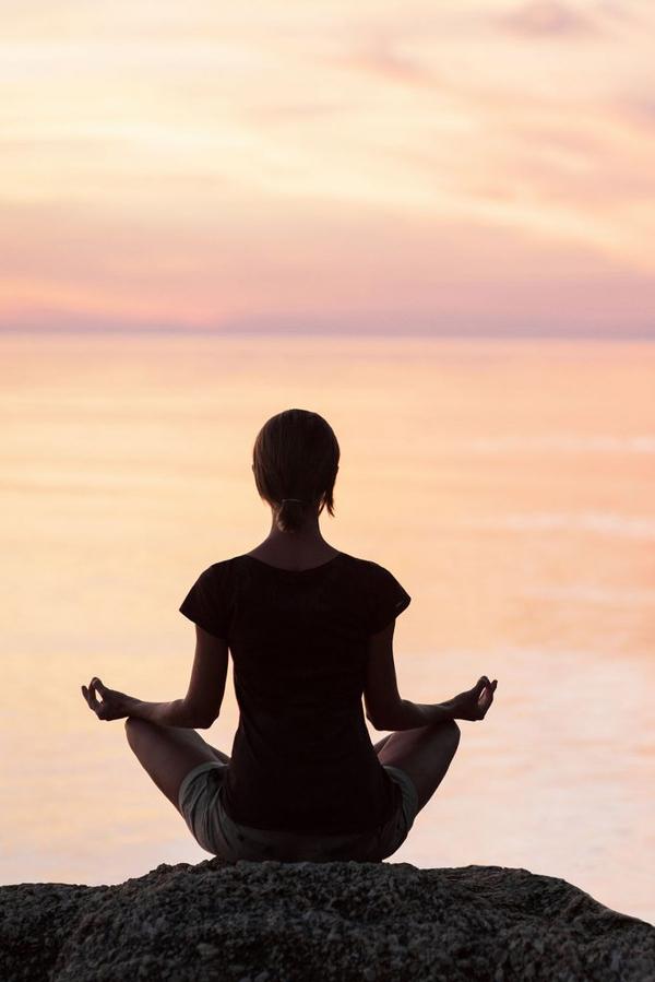 The Art of Persuasion book