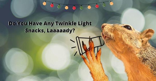 Kitty City Squirrels - featured image for Twinkle Lights story