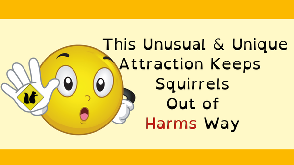 squirrel tail magazine - emoji signaling to stop with picture of a squirrel crossing road sign