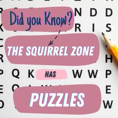 image-the squirrel zone has puzzles