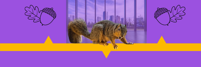 Kitty City Squirrel - Header image for squirrel tails magazine