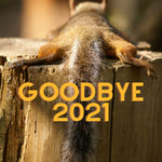 kitty city squirrels - goodbye 2021