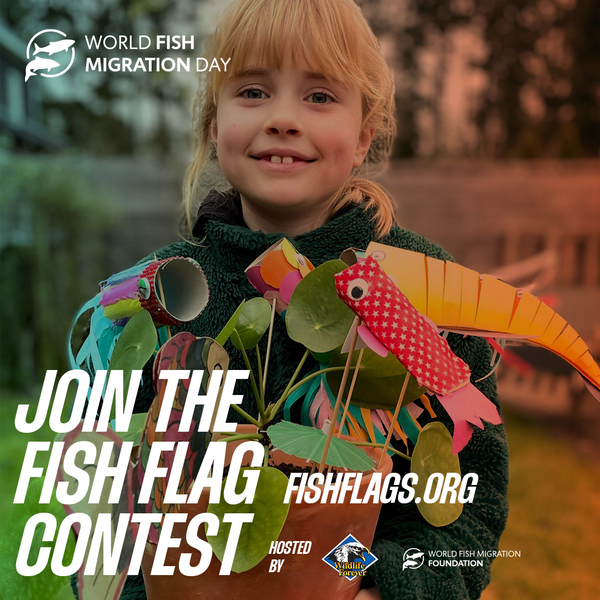 Fish Flag Contest